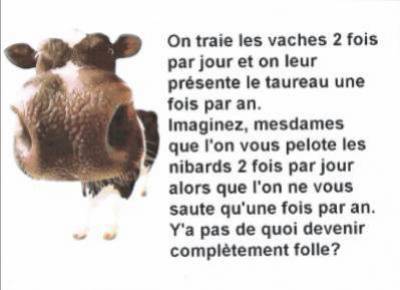 mdrrrrrrrrrrrrrr