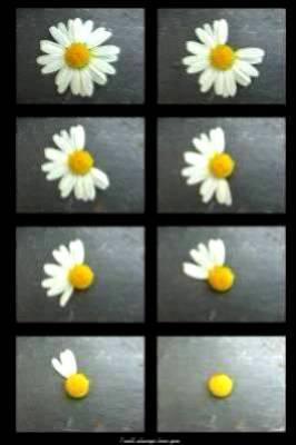 ??