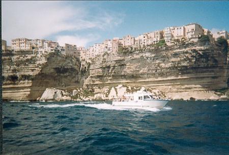 BoNiFaCiO