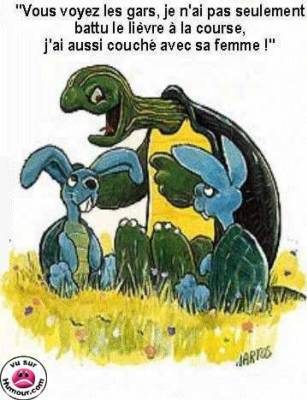 hihi